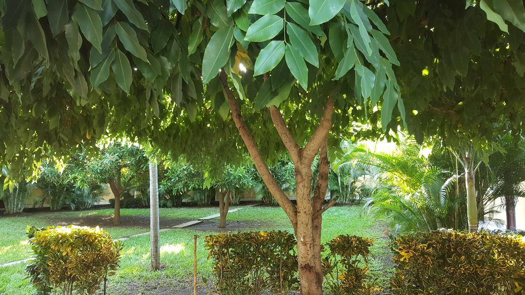 Hotel La Arboleda Managua Ngoại thất bức ảnh