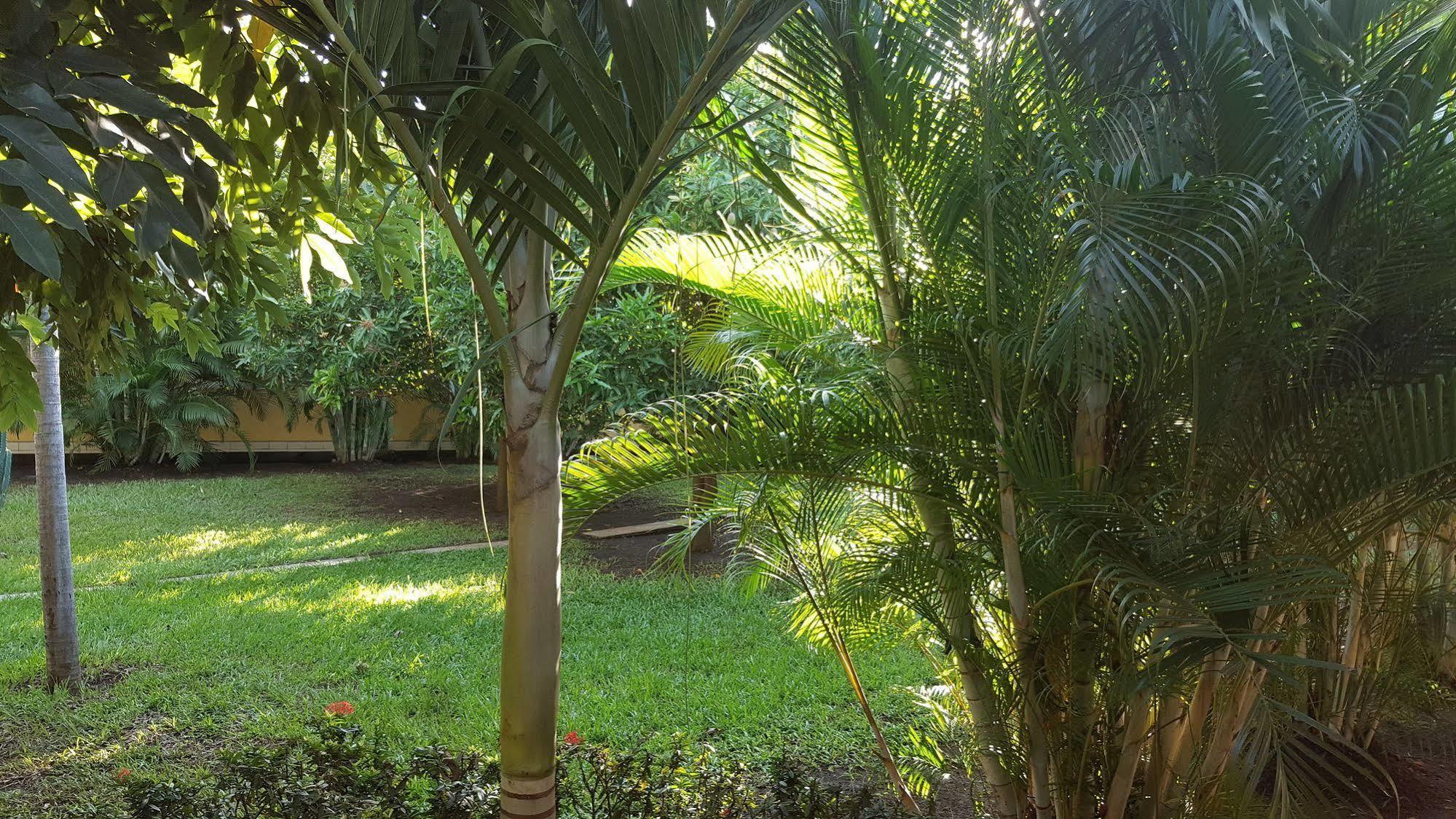 Hotel La Arboleda Managua Ngoại thất bức ảnh