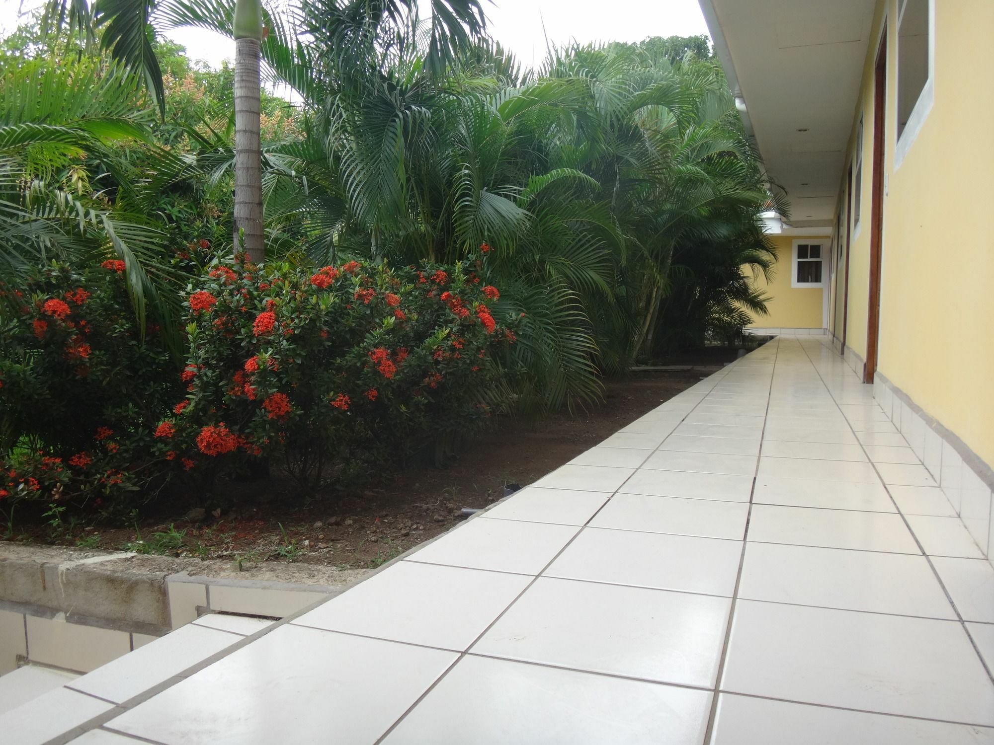 Hotel La Arboleda Managua Ngoại thất bức ảnh