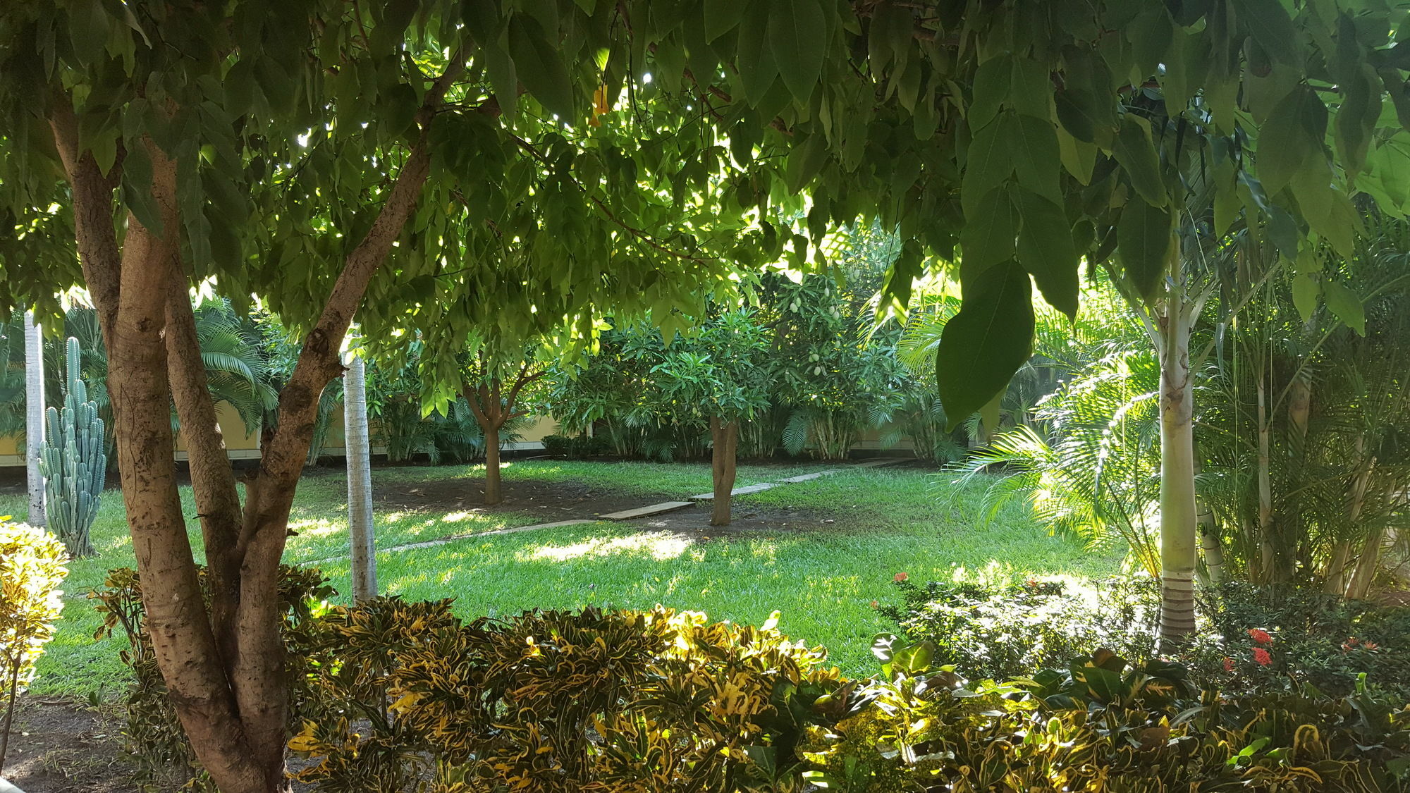 Hotel La Arboleda Managua Ngoại thất bức ảnh